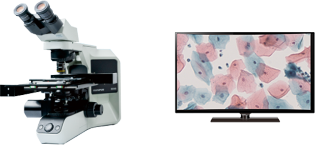 復(fù)核平臺(tái)